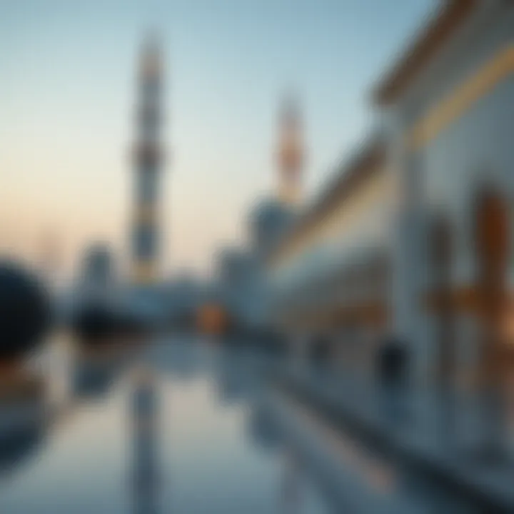 Magnificent Comprehensive Guide to UAE Tourist Visa Check