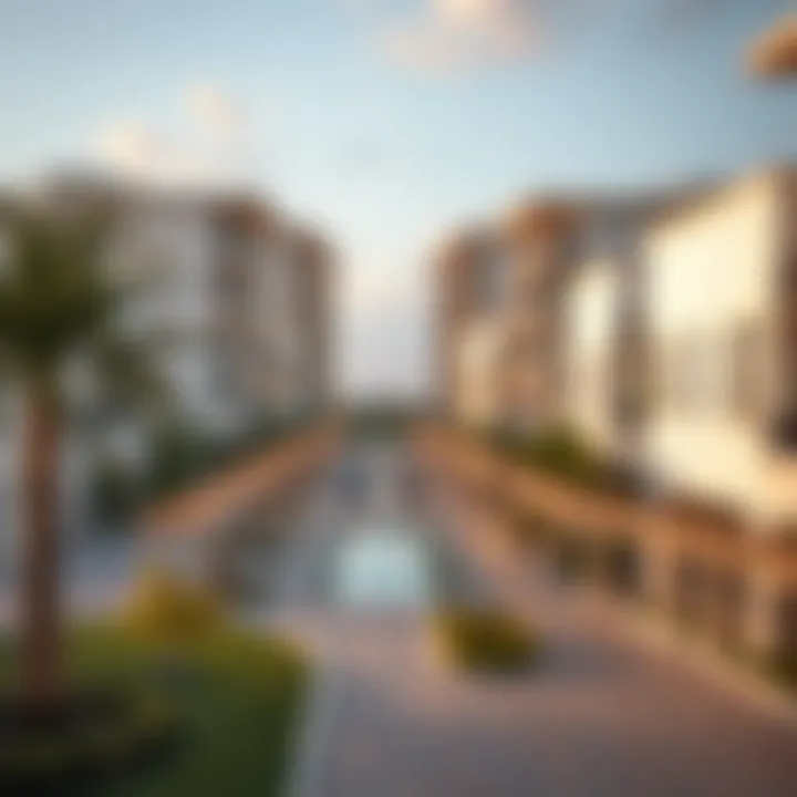 Analyzing the Jumeirah Park Layout: Insights and Implications Summary