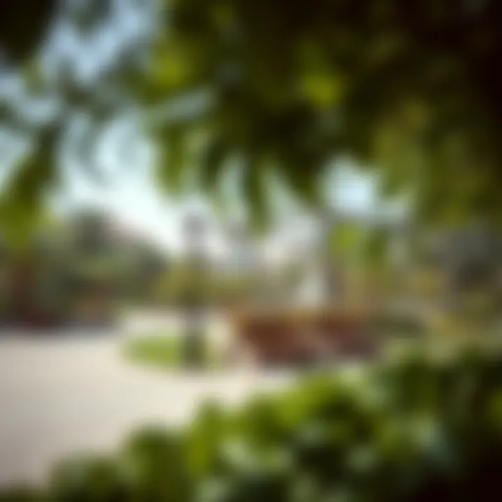 Tranquil parks and green spaces in Al Jaddaf.