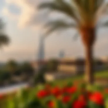 Exploring Dubai Hill Park: A Multifaceted Perspective Summary