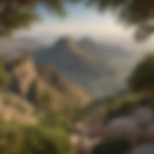 Panoramic view of Jabal Al Jais peak surrounded by lush greenery