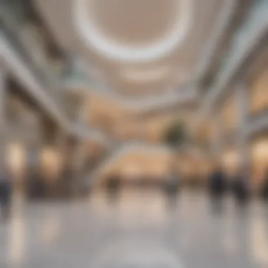 Dynamic Retail Spaces at Labeel Heli Mall Interior layout highlighting retail spaces and consumer interaction zones