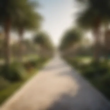 Serene Community Park in Park Vista Community park in Park Vista featuring walking paths and recreational areas
