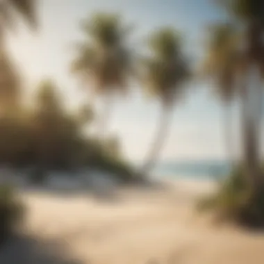Tranquil Beach Landscape with Palm Trees A serene beach landscape with palm trees and pristine sand, epitomizing relaxation.