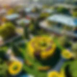 Aerial view of the Miracke Garden showcasing its intricate landscape design