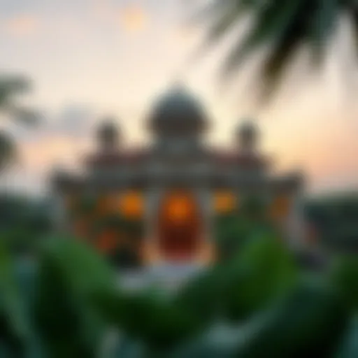 Exploring Thumbay Jurf: A Comprehensive Overview Introduction