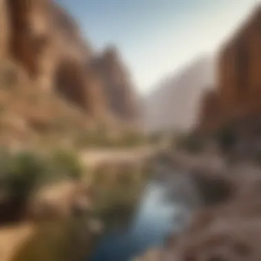 Ecological Diversity in Wadi Al-Shawka Diverse flora and fauna found in Wadi Al-Shawka