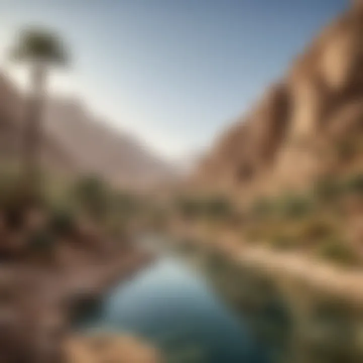 Diverse ecosystems found within the Wadi Habb region