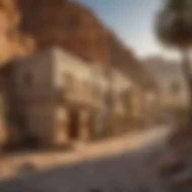 Cultural Heritage of Wadi Habb Historical artifacts representing the rich culture of Wadi Habb