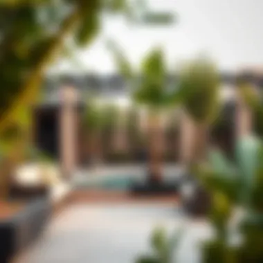 Serene Outdoor Area in Mushrif Tranquil outdoor space in Mushrif