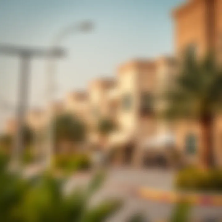 Community amenities surrounding Sheikh Zayed Bin Hamdan Al Nahyan Street